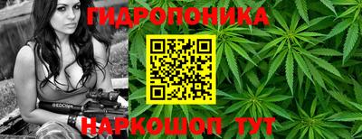 кокаин колумбия Кингисепп