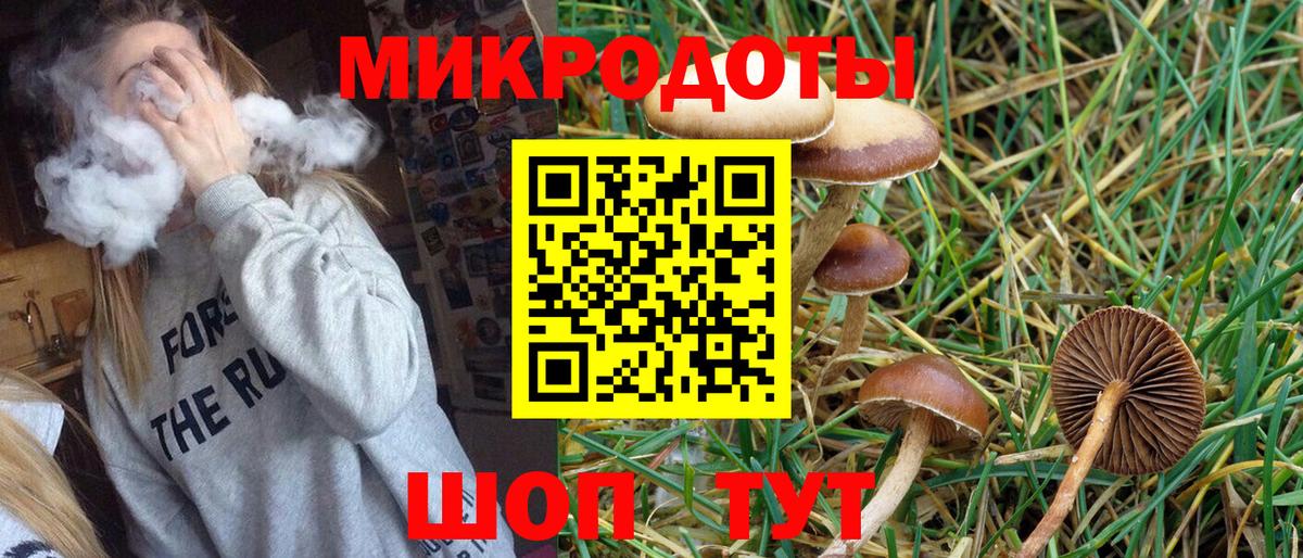 Комсомольск-на-Амуре  Галлюциногенные грибы Psilocybine cubensis  Вход с VPN  сколько стоит  Псилоцибиновые грибы Cubensis 
